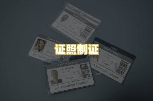 证照制证
